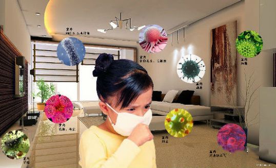 杭州甲醛检测告诉你室内空气生物污染不可忽略！