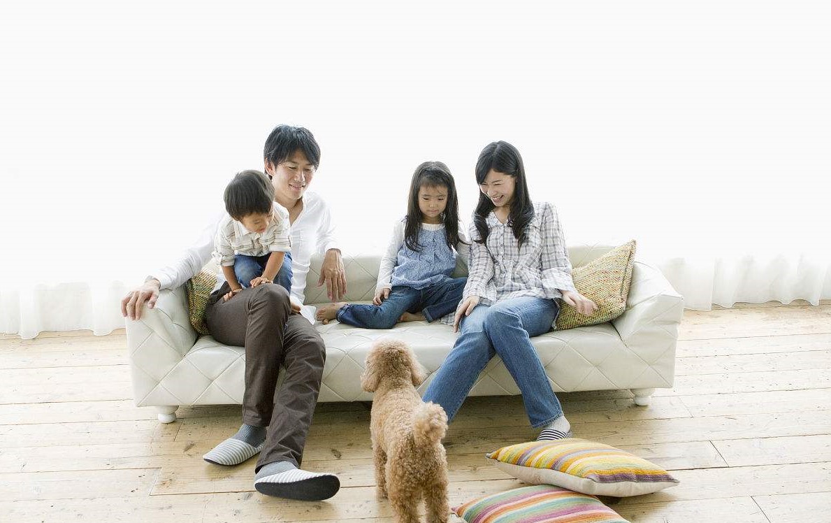 室内污染的危害您了解多少？
